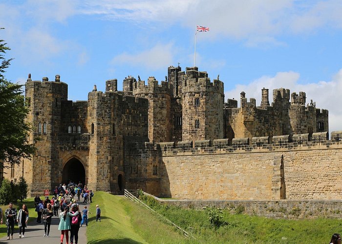 Alnwick Castle and the Viking Coast Full-Day Private Tour