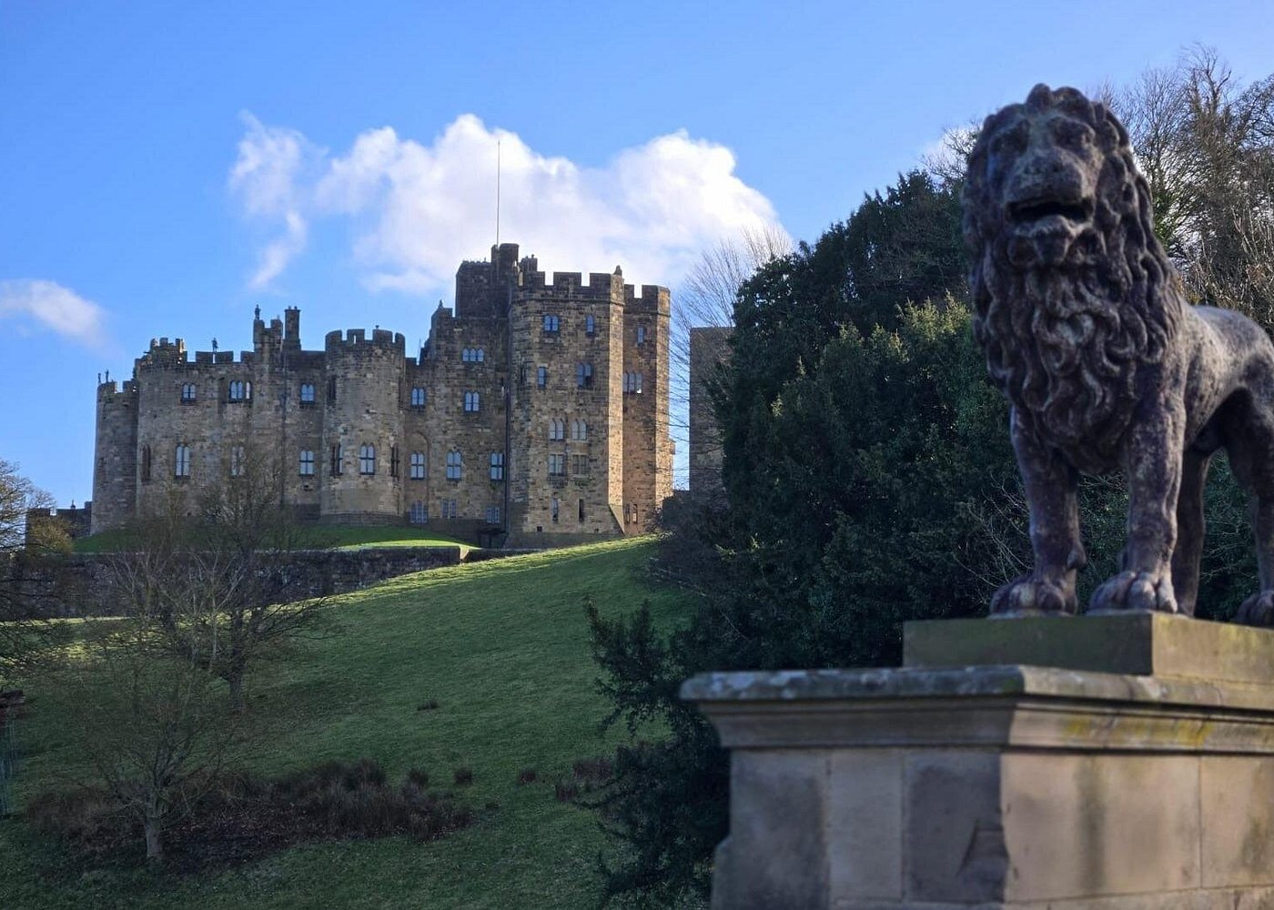 Harry Potter, Alnwick Castle, Bamburgh Castle, Seals Tour