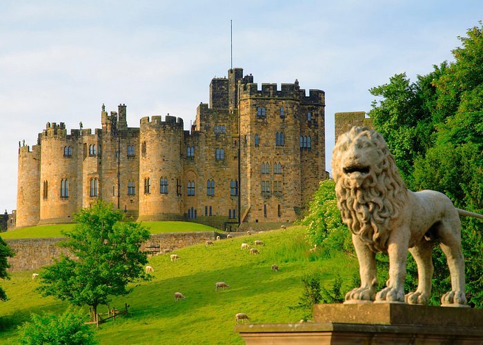 Viking Coast and Alnwick Castle Very Small Group Tour